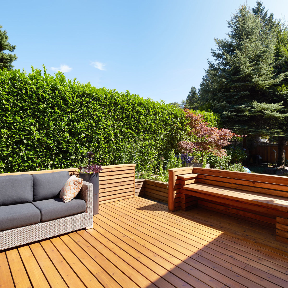 5/4x6 Western Red Cedar - Select Tight Knot (STK) S4SEE