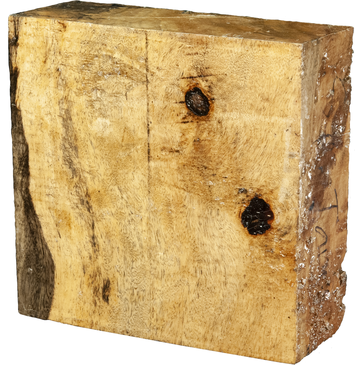 3″ x 8″ x 8″ Spalted Tamarind Turning Blank