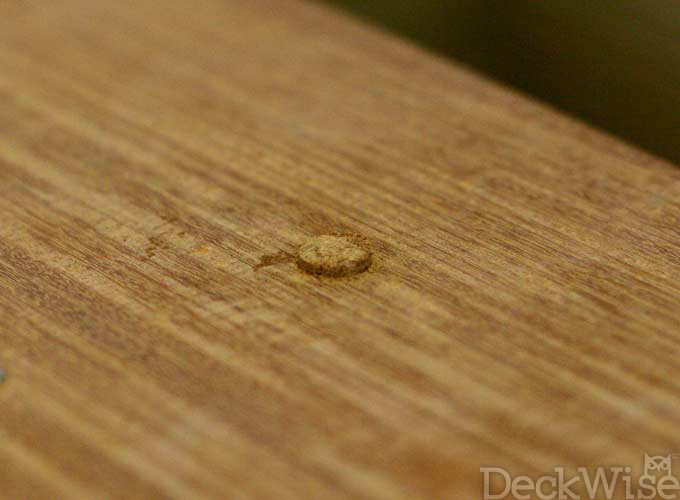 Wood Plug Kit