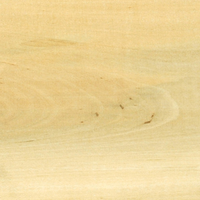 4/4 White Holly Lumber