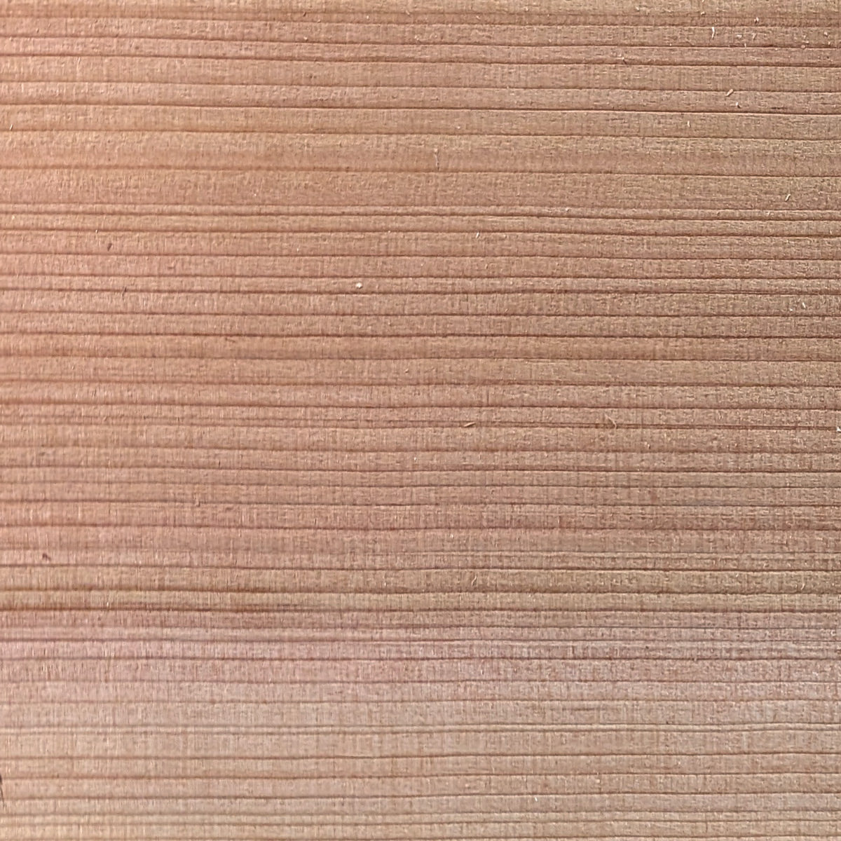 1x6 Western Red Cedar One-Sided Pre-Grooved - Clear Vertical Grain (CVG) - S4S/KD