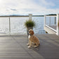 TimberTech® Advanced PVC Decking by AZEK®, Vintage Collection® Coastline