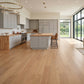 Brazilian Oak (Tauari) Mist Engineered Flooring 0.5625″ x 7″ Prefinished, Matte, $5.97/sqft - Ipe Depot