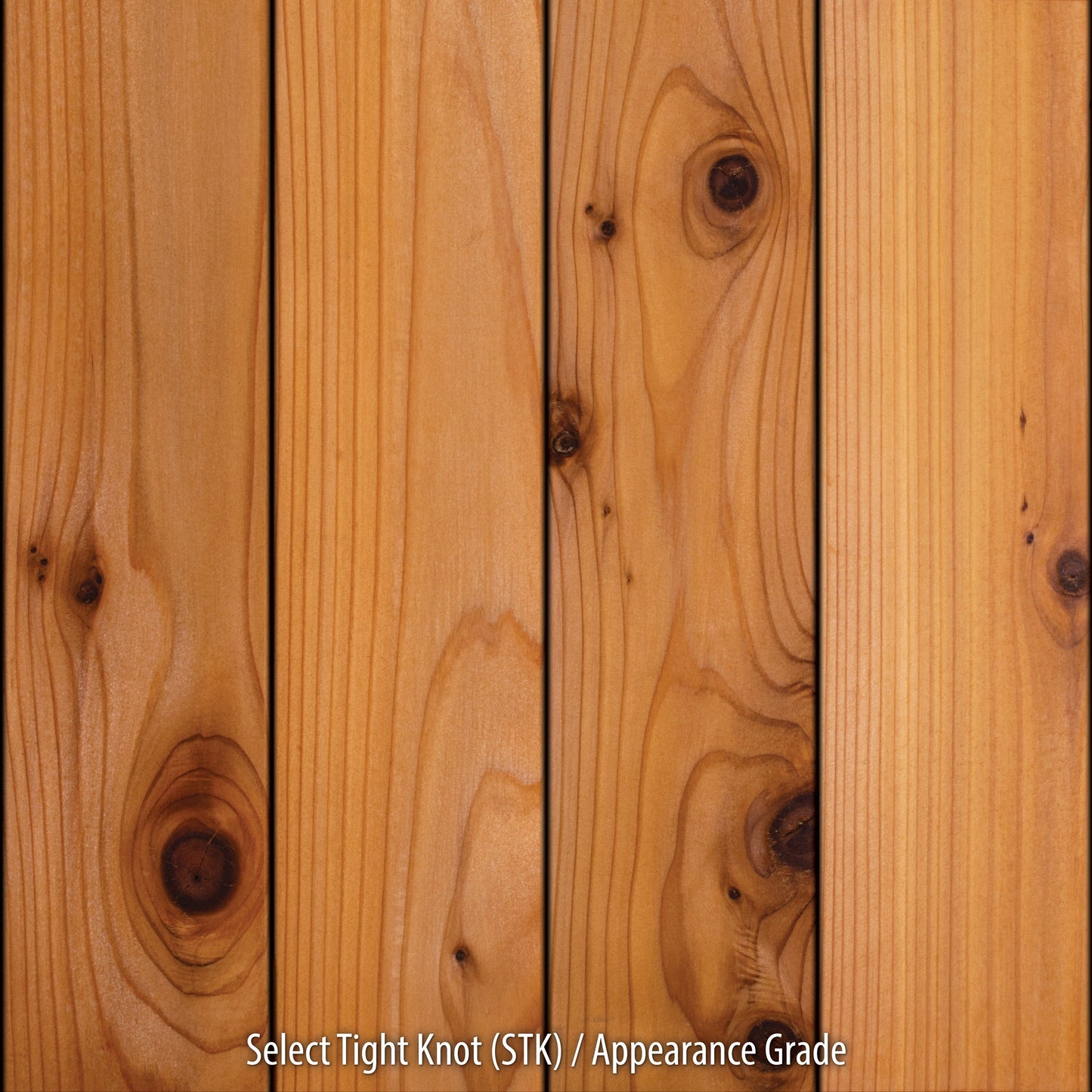 1x8 Western Red Cedar - Select Knotty (STK) Appearance Grade - S1S2E/KD