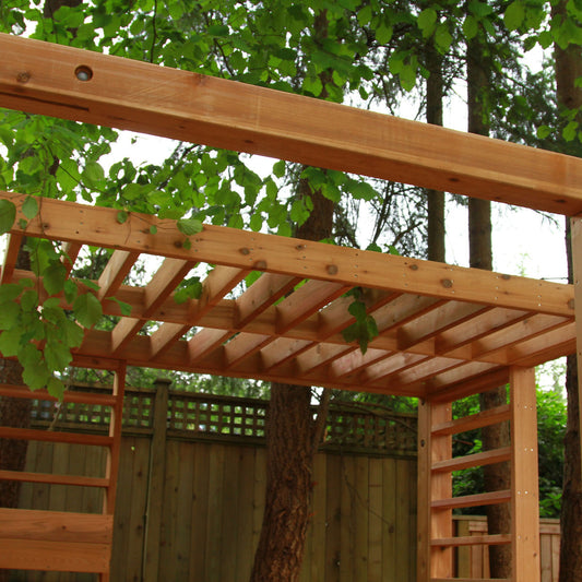 2x4 Western Red Cedar - Select Knotty (STK) Appearance Grade - Rough/KD