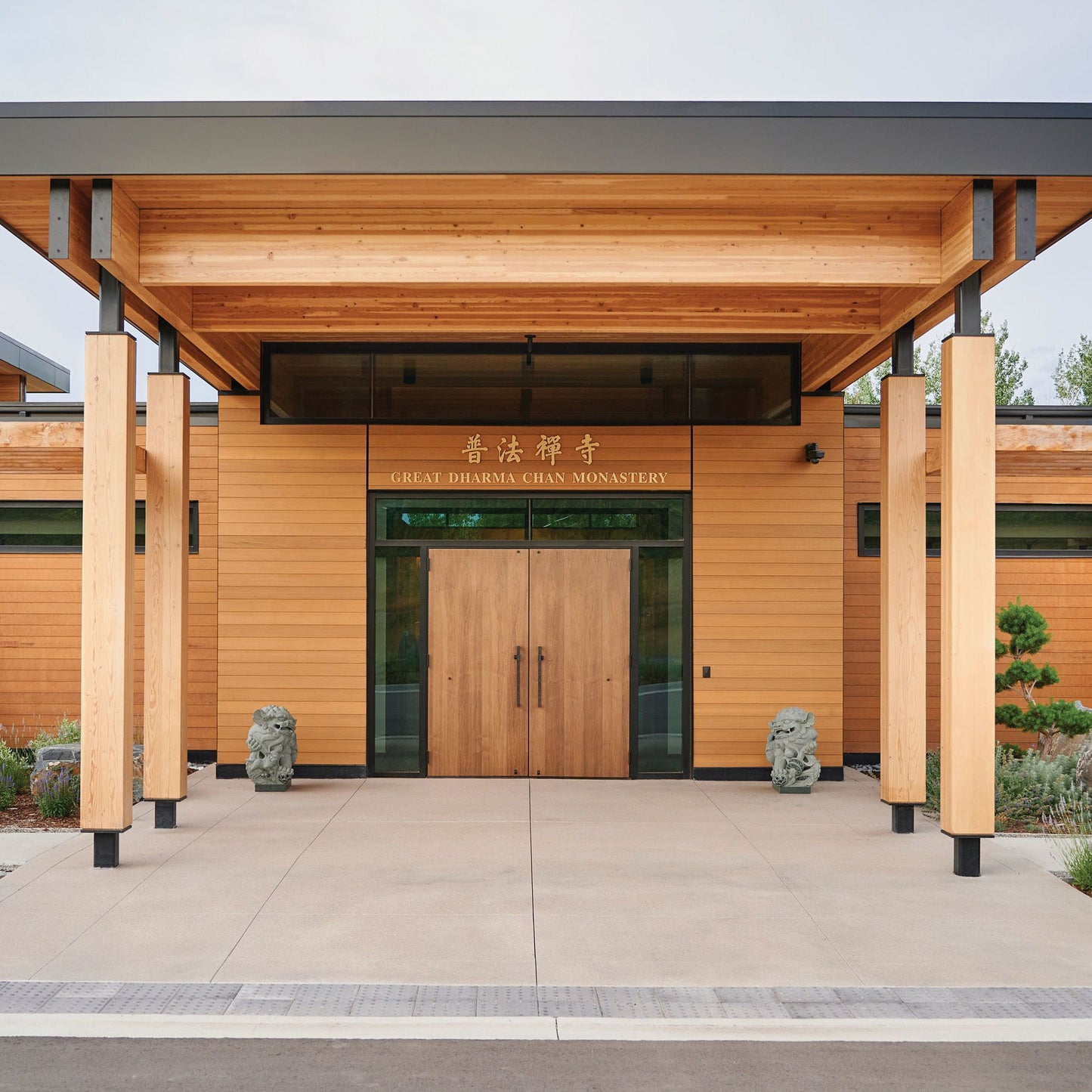 6x6 Western Red Cedar - Select Knotty (STK) Appearance Grade - Rough/Green