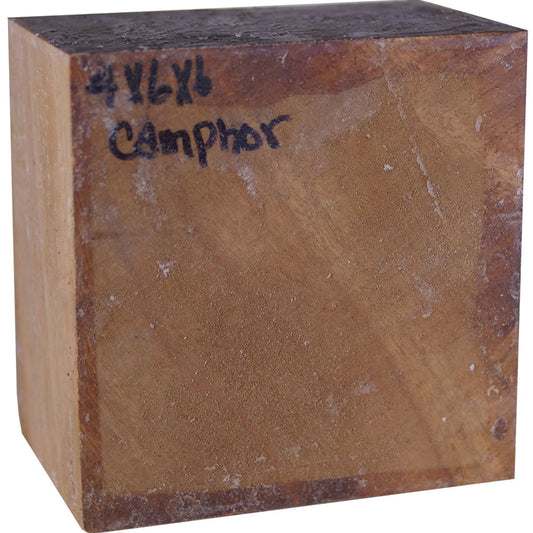 4″ x 6″ x 6″ Camphor Turning Blank